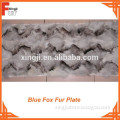Front Paw Blue Fox Fur Plate
